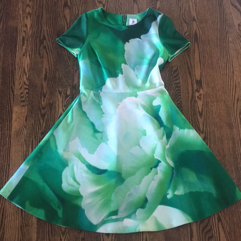 Gorgeous Julia Jordan dress